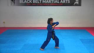 Brown Belt Poomsae Taegeuk 5Jang [upl. by Aziza]