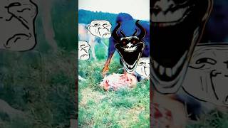 Mastim tibetano o terror dos lobos 🍷🗿shots animals dog fyp viralvideo [upl. by Trefor]