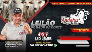 Andaluz Leilões I Léo Lemes Leilão de Gado de Corte em Goiás 21102024  Leilão Ao Vivo [upl. by Mccomb]