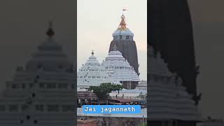 jai jagannath jagannathpuritemple vlog travel song love ahorts [upl. by Salohcin]