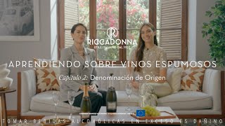 Aprendiendo sobre vinos espumosos Capítulo 2 Denominación de Origen [upl. by De]