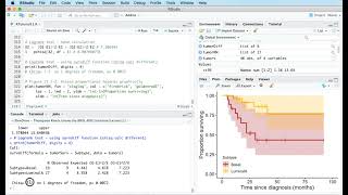 11e Survival analysis of two groups [upl. by Animehliw]