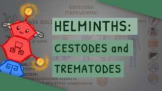 Helminths Cestodes and Trematodes transmission clinical importance and treatment [upl. by Light]