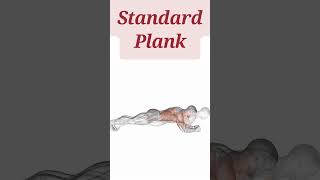 2 Plank Variations for a Strong Core  Quick Abs Workout [upl. by Nniuq774]