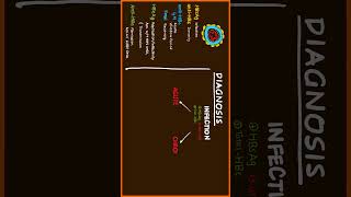 Part 13 Hepatitis B Diagnosis usmle [upl. by Nennarb521]