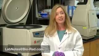 Tips for Sample Preparation with Your NGC™ Chromatography System [upl. by Enahpad932]