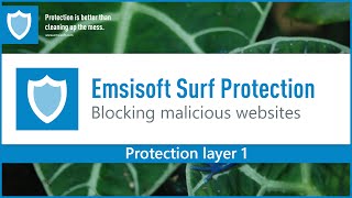 Emsisoft Surf Protection vs Malicious hosts and Phishing domains [upl. by Tad]