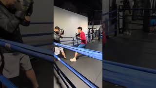 Middleweight vs heavyweight hard sparring [upl. by Aninaig]