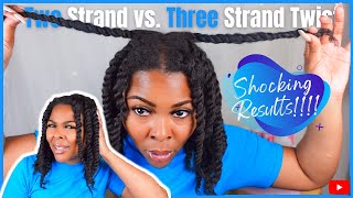 Two Strand Twist vs Three Strand Twist on Natural Hair  SHOCKING RESULTS [upl. by Koziarz358]