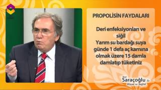 Prof Saraçoğlundan propolisin faydaları [upl. by Drawdesemaj]