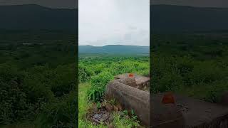 Sariska National park travel mountains nature natural views viralshort youtubeshorts forest [upl. by Anile552]