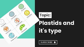 Plastids l types of plastids l Chloroplast l cell structure and function l XI biology [upl. by Riti]