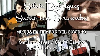 Sueño con serpientes Cover Silvio Rodriguez [upl. by Nelg]