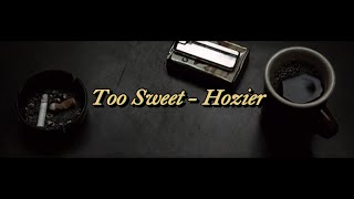 Too Sweet  Hozier  Luminexcence [upl. by Dolan]