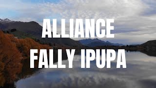 Fally Ipupa alliance [upl. by Nations]