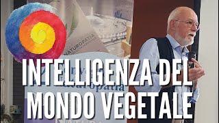 Intelligenza del Mondo Vegetale [upl. by Desdamonna]