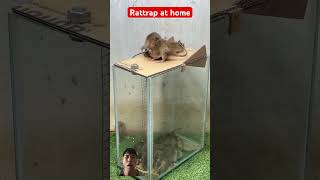 Rattrap at home rat bucketmousetrap rattrap mousetrap rattletrap [upl. by Balough362]