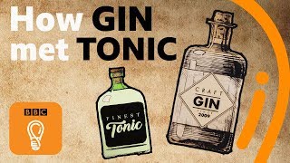 The hidden history of gin and tonic  Edible Histories Episode 1  BBC Ideas [upl. by Demah429]