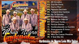 Cardenales De Nuevo Leon Mix Grandes Exitos  10 Corridos Famosos Exitos de Oro 2024 [upl. by Stoneman]