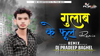 Gulab Ka Phool Cg Dj Song 2024  Gulab Ke Phool  New Cg Song  Instagram Trending Song [upl. by Iorio]