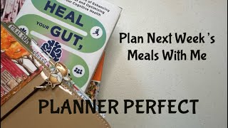 Plan With Me Next Week’s Meals PLANNER PERFECT Traveler’s Notebook [upl. by Polik]