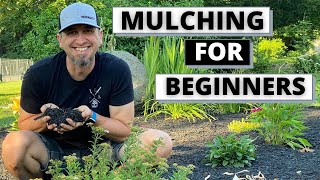 Mulching Flower Beds  How and Why [upl. by Ardried]