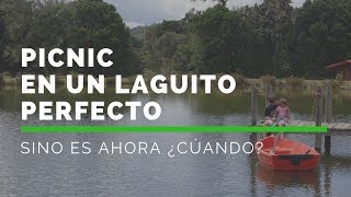 Laguito perfecto con picnic Reserva Ecológica Mosqueritos  Cerro de La Muerte [upl. by Emrich]