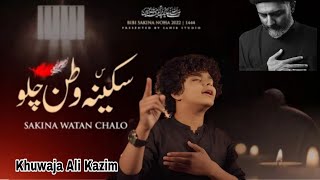 Zindan Khul Gia Hai Sakina Watan Chalo  Noha Khuwan Khuwaja Ali Kazim [upl. by Annasor241]