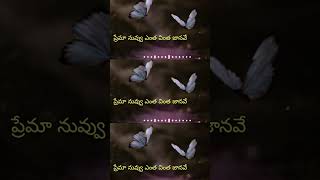 Kannitini pannitiga chesi  gangotri song  Telugu lyrics [upl. by Alyled]