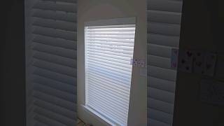 Serena by Lutron Smart Wood Blinds [upl. by Boylston]