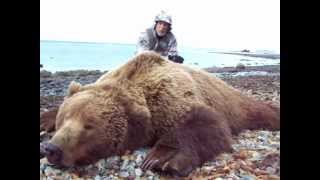 Deltana Outfitters  Alaska Bear Sheep Caribou Hunts [upl. by Nothsa963]