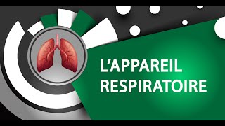 Anatomie  LAppareil respiratoire [upl. by Manas]