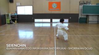 Seienchin 2  Japan Karatedo Hayashiha Shitoryukai [upl. by Anglo630]