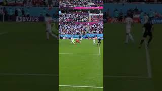 Ramin Rezaeian Goal Iran 20 Wales World Cup 2022  Field Level View amp Amazing Fan Reactions [upl. by Iblok620]