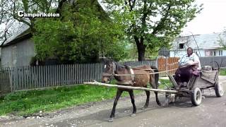 Paard en Wagen Roemenië [upl. by Mott621]