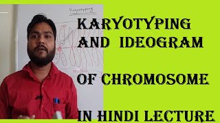 karyotyping and idogram of chromsome chromosomebanding [upl. by Eiluj]