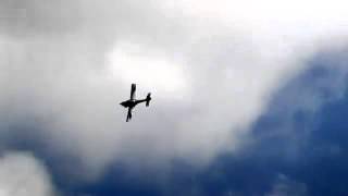 Seagull Grob Tutor YouTube [upl. by Yenttirb839]