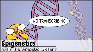 Epigenetics [upl. by Ormiston]