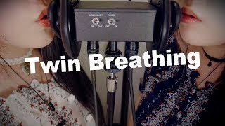 ASMR Twin Breathing amp Ear Blowing with Inhaling 😂 [upl. by Egroej525]