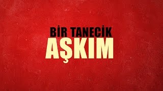 Gülçin Ergül  Bir Tanecik Aşkım Official Lyric Video [upl. by Mojgan]