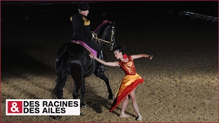 Spectacle du Cadre Noir élite de la cavalerie française [upl. by Mighell]