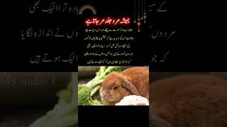 best short quotesbest urdu shortquotes poetry bestquotes video urdupoetry [upl. by Hole129]