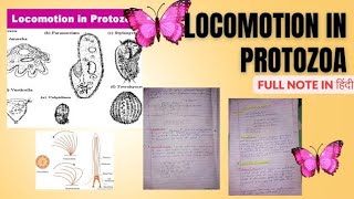 Locomotion in Protozoa  full notes in hindi  msc zoology notes in hindi [upl. by Zilla]