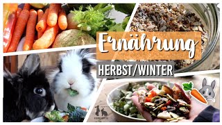 Ernährung 🥕🥬 im HerbstWinter 🍂❄️ von Kaninchen 🐰  Kaninchenstar [upl. by Ecined997]