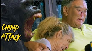 The VICIOUS Chimp Attack on St James Davis [upl. by Nameerf681]