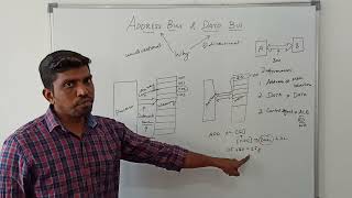 Address Bus amp Data Bus in Microprocessor  S Vijay Murugan  Learn Thought [upl. by Mattie]