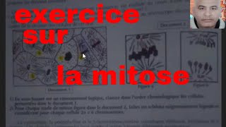 exercice sur la mitose [upl. by Iah]