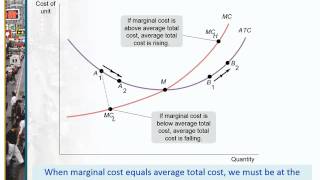 Chapter 11 Behind the Supply Curve Inputs and Costs [upl. by Naoma289]