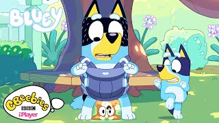 Bluey  Dads Having a Baby  CBeebies [upl. by Thaddeus]