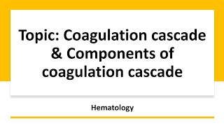 Coagulation cascade amp Components of coagulation cascade  Hematology [upl. by Nageam]